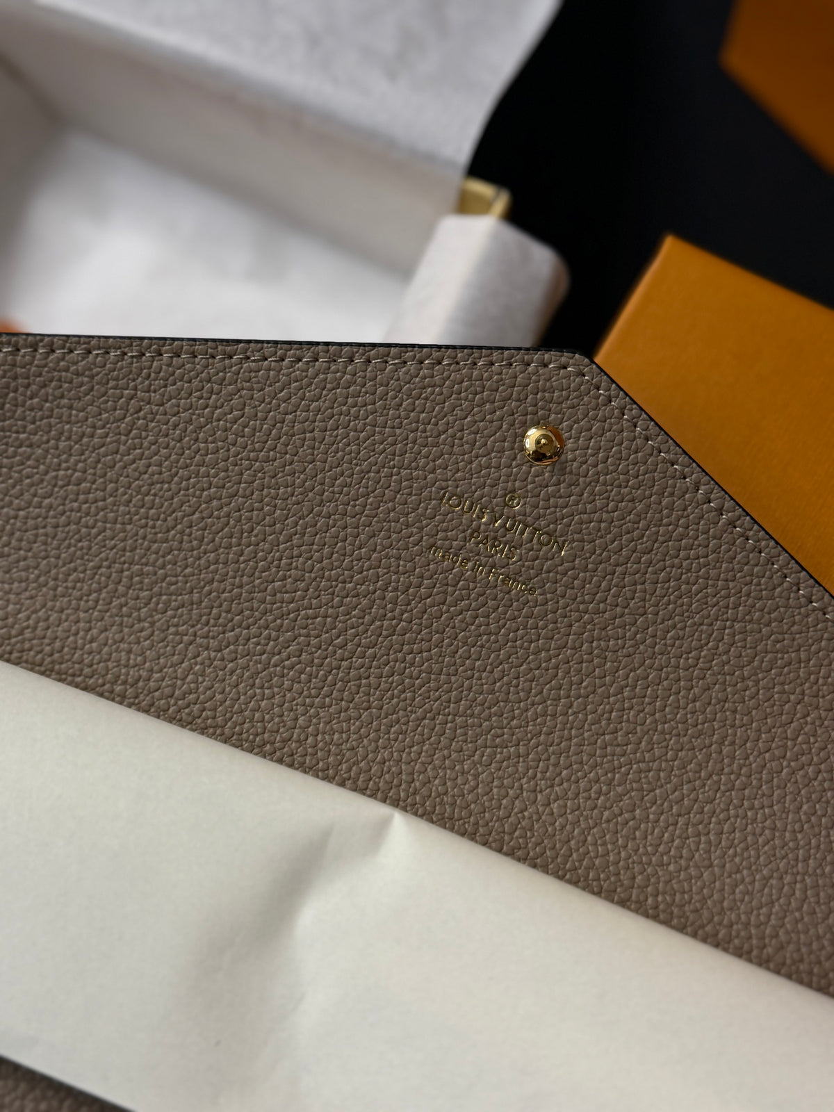 M81049 Sarah “Bicolor Monogram Empreinte”
