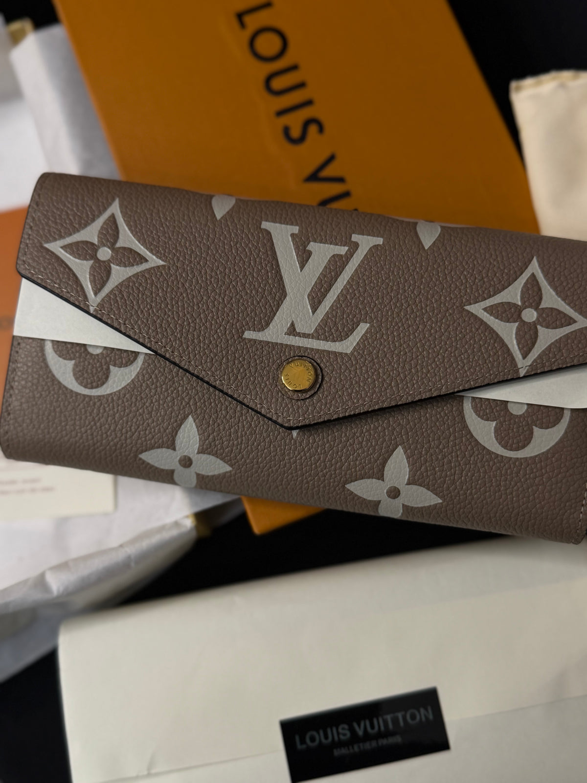 M81049 Sarah “Bicolor Monogram Empreinte”