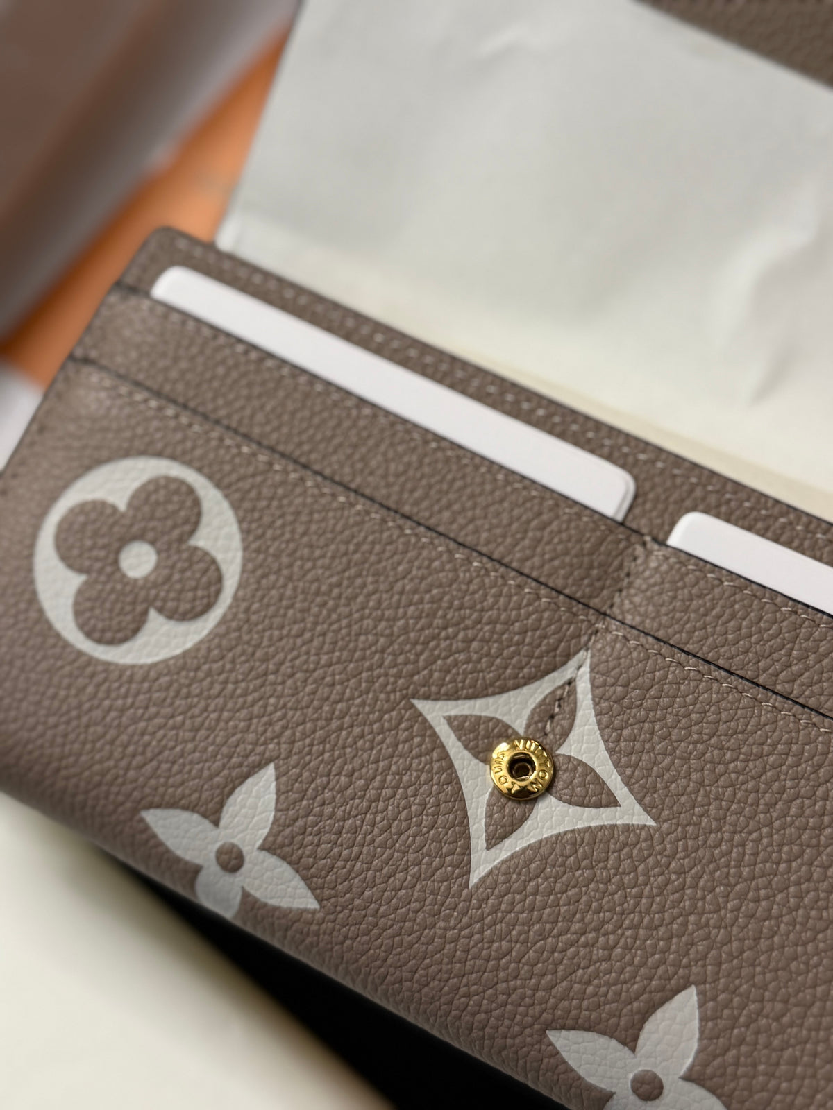 M81049 Sarah “Bicolor Monogram Empreinte”